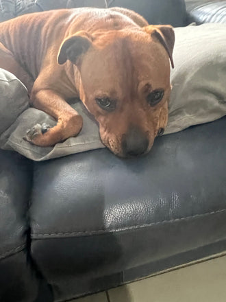 Charlie
