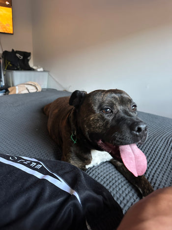 Max