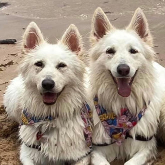 Hunter & Harper