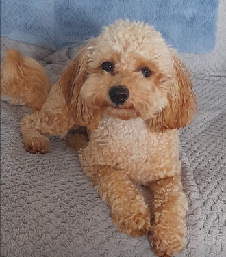 Matilda