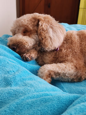 Tilly