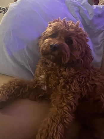 Max