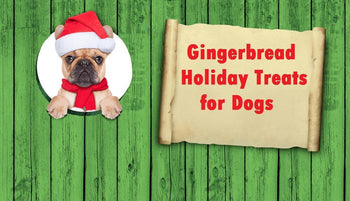 Gingerbread Holiday Treats for Dogs
