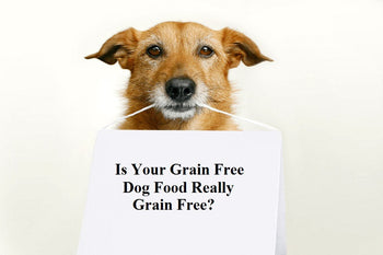 Is Your Grain Free Dog Food Really Grain Free?