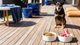 The Raw vs Kibble Trade-Off: What Actually Matters When You Feed Your Dog