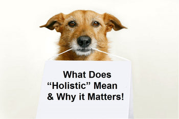 What Does “Holistic” Mean & Why it Matters!