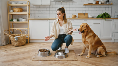 How to Choose the Best Dog Food in Australia: A Simple Framework