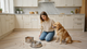 How to Choose the Best Dry Dog Food: A Simple Guide