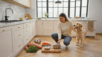 How to Improve Your Dog's Coat Condition Through Diet: A Practical Nutrition Plan
