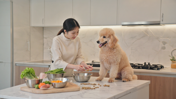 Poodle Coat Brilliance Is an Inside Job: How Dry Dog Food Fuels Brain, Curls & Immunity