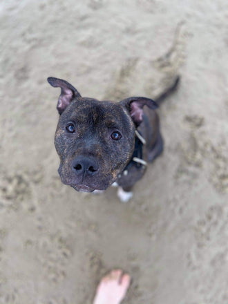 Max