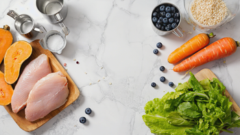 What Actually Makes a Dog Food "The Best"?