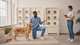 Why Is My Dog Always Itchy? The Dietary Connection Australian Vets Are Finally Talking About