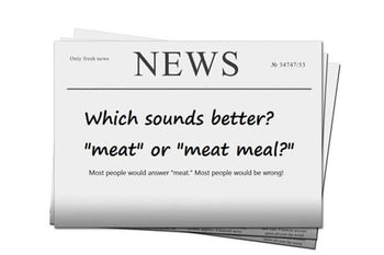 Meat Versus Meat Meal in Dog Food!