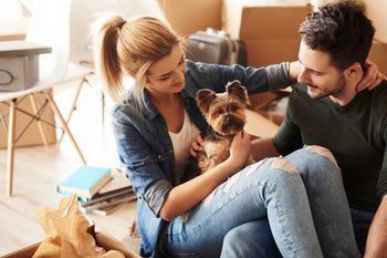 How To Keep Your Apartment Dog Happy & Healthy!