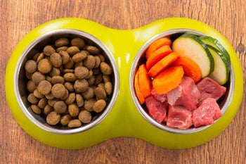 How to Boost Your Dog’s Diet by Pairing Raw Food with Stay Loyal!