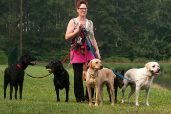 8 Benefits A Daily Walk Has For You And Your Dog!