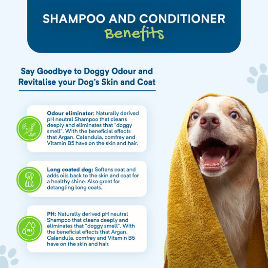 Shampoo & Conditioner 500ml