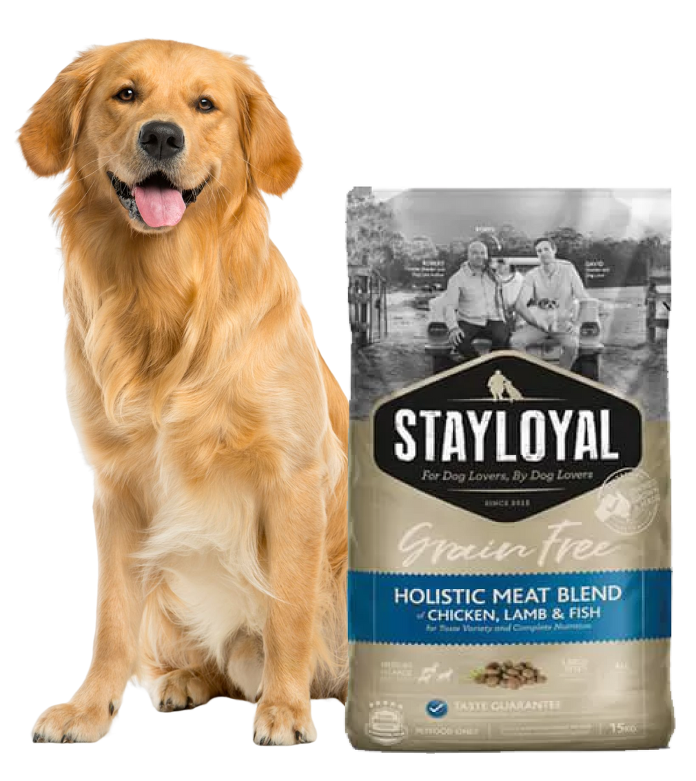 Dry Dull Coat Stay Loyal