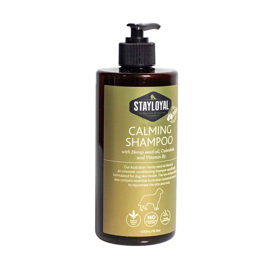 Shampoo