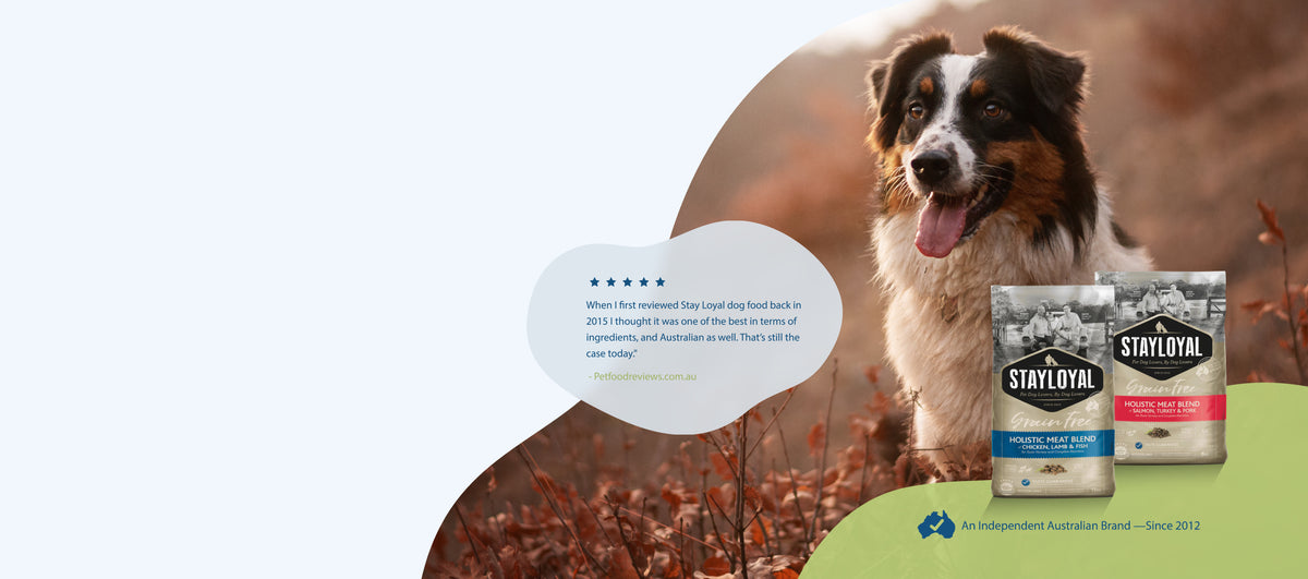 Stay Loyal: Doing Dog Food Differently