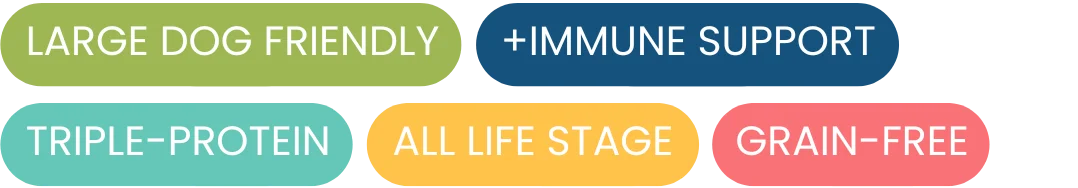 Alt image